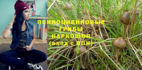 дмт Балабаново