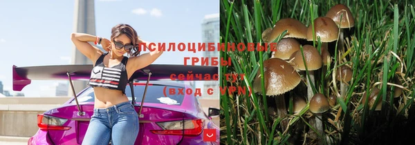 дмт Балабаново
