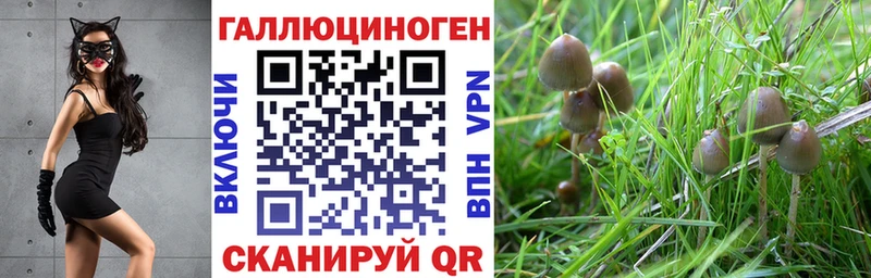 Псилоцибиновые грибы прущие грибы  как найти   Любим 